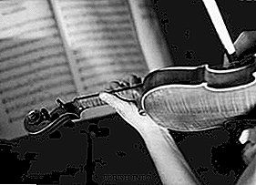 Cómo tocar el violín: técnicas básicas del juego.