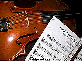How does the violin work? How many strings on it? And other interesting facts about the violin ...