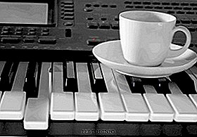 Hoe een elektronische piano kiezen voor succesvolle lessen?