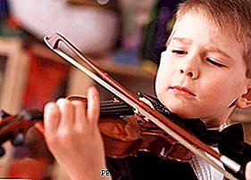 Algo sobre tocar el violín para principiantes: historia, herramienta de dispositivo, los principios del juego
