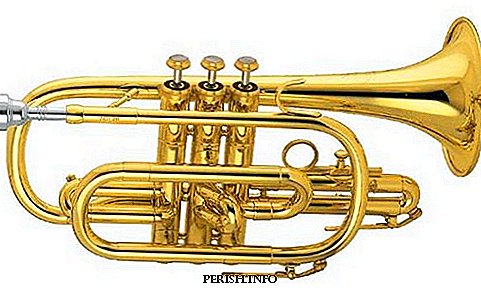 Cornet - undeservedly forgotten hero brass band