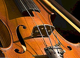 ความลับของอัจฉริยะไวโอลิน Stradivari