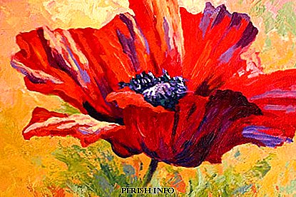 Ballet "Red Poppy": content, interesting facts, video, history