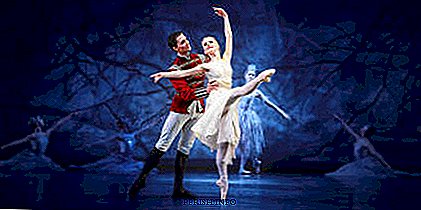 The Nutcracker Ballet: content, video, interesting facts, history
