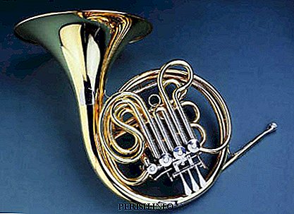 Hvad er det franske horn, det franske horns historie, interessante fakta