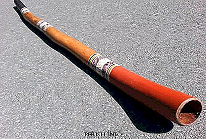 Didgeridoo: histoire, vidéo, faits intéressants