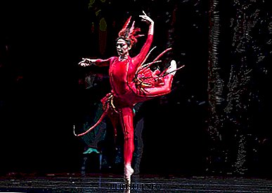I. Strawinsky Ballett "The Firebird": Inhalt, Video, interessante Fakten