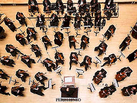 Interesting facts about the symphony orchestra