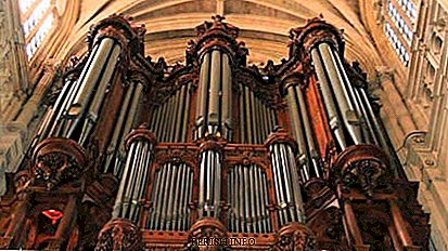 IS Bach Organ Toccata și Fuga (d-moll): istorie, video, fapte interesante, muzică, ascultați
