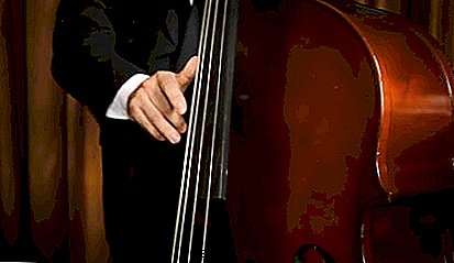 Double bass: history, video, interesting facts, listen