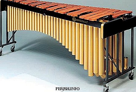 Xylophone: interesting facts, video, story, photo, listen