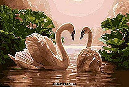 Lara Fabian "Love of tired swans": história, fatos interessantes, conteúdo, vídeo, ouvir