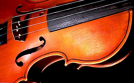 Leyenda del maestro del violín