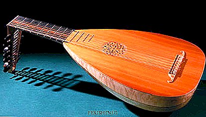 Lute: interesting facts, video, history, photos
