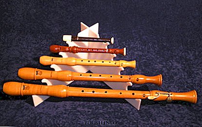 Instrument de musique: flûte à bec