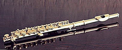 Instrumento musical: flauta piccolo