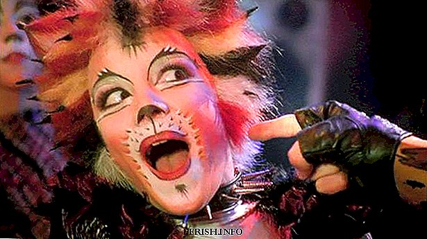 O musical "Cats": conteúdo, vídeo, fatos interessantes, história