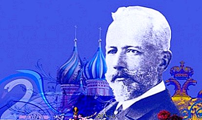 Peter Ilyich Tchaikovsky: biografia, fatos interessantes, criatividade