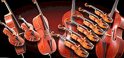 P.I. Tchaikovsky Serenade para orquestra de cordas: história, vídeo, conteúdo, fatos interessantes