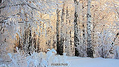 P.I. Tschaikowsky-Symphonie Nr. 1 "Winterträume": Geschichte, Video, Inhalt, interessante Fakten