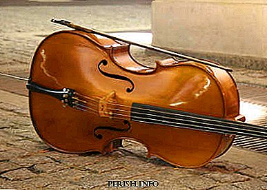 Cello: history, video, interesting facts, listen